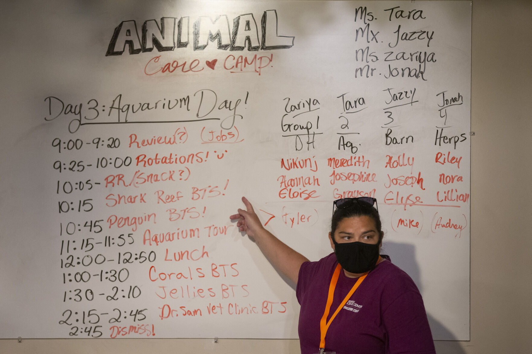 Animal Care Camp